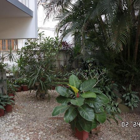 Sandra'S Home Kochi Luaran gambar